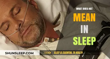 Understanding HST: A Sleep Schedule for Maximum Productivity