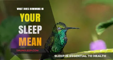 Humming in Sleep: What Does it Mean?