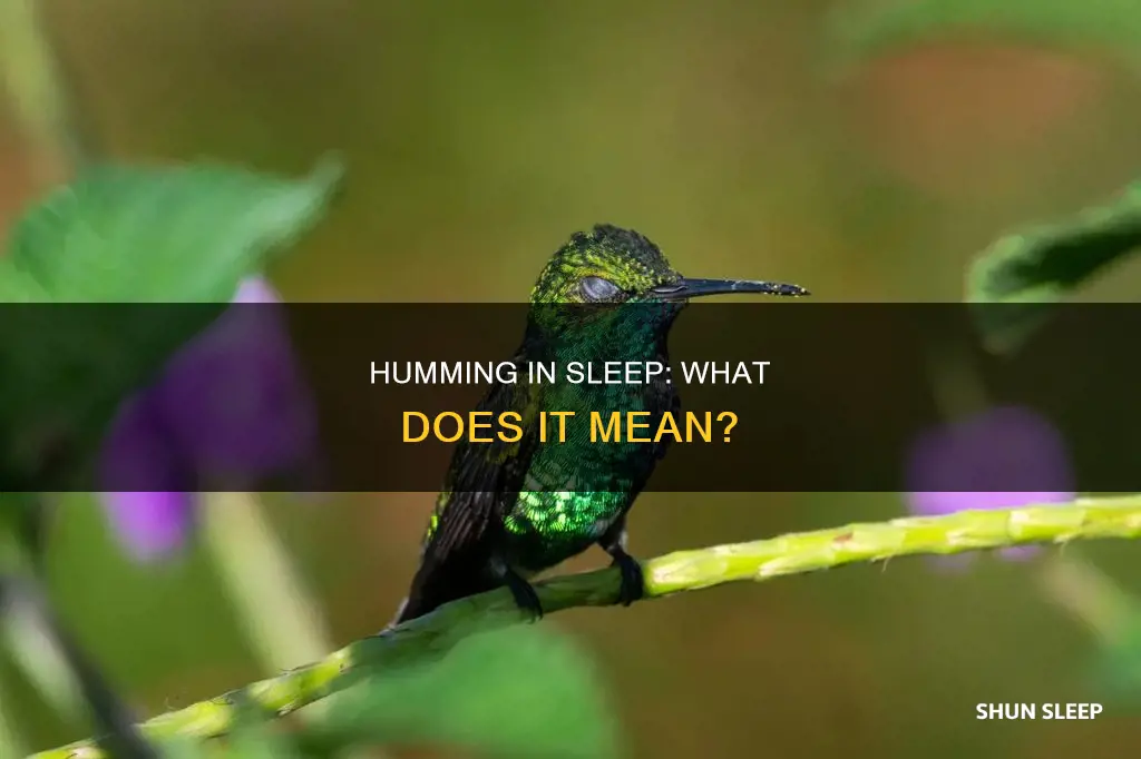 what does humming in your sleep mean