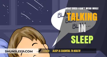 Sleep Talk: 'I Can't' Meaning Explained