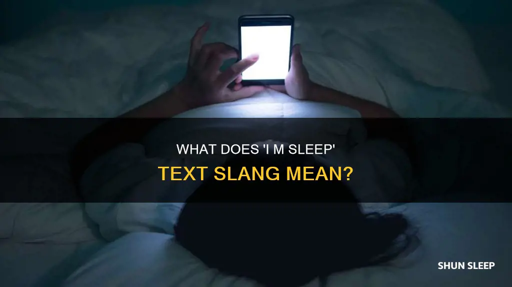 what does i m sleep mean on text