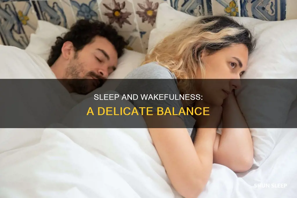 what does i wake to sleep mean