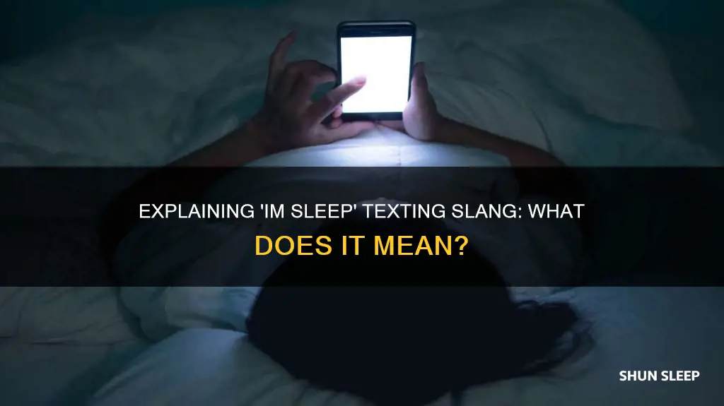 what does im sleep mean in texting