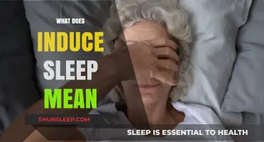 Inducing Sleep: Understanding the Science Behind Sleep