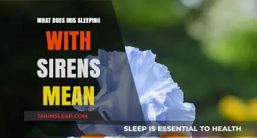 The Meaning Behind Sleeping With Sirens' Iris