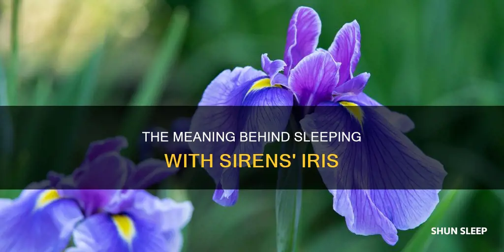 what does iris sleeping with sirens mean