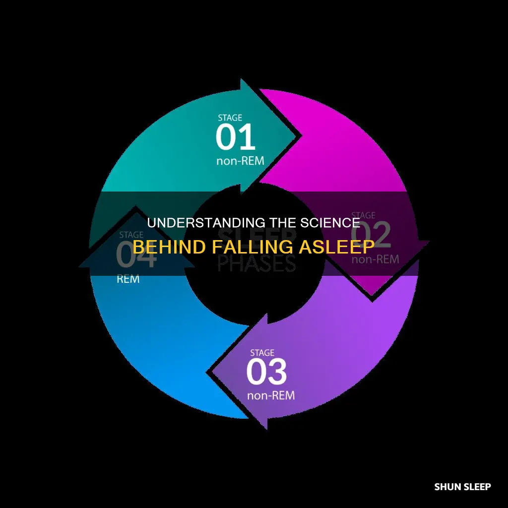 what does it mean fallung sleep