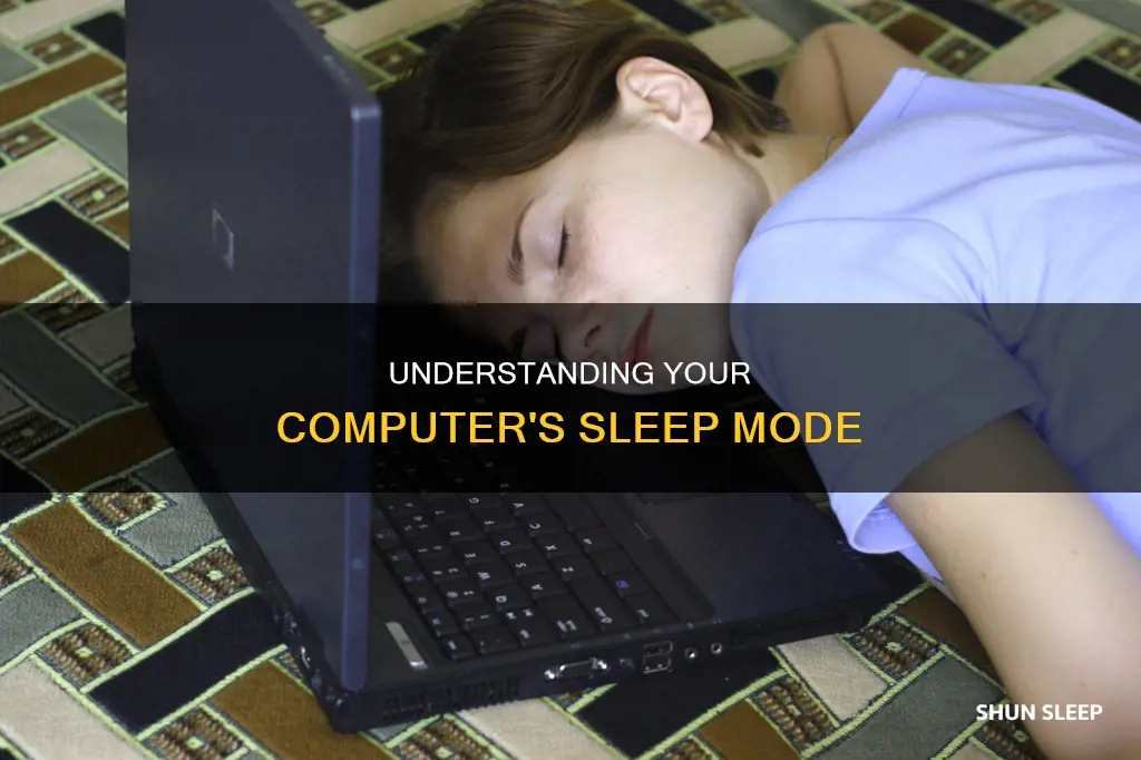 what does it mean for my computer to sleep