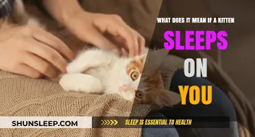 Why Does Your Kitten Sleep on You?