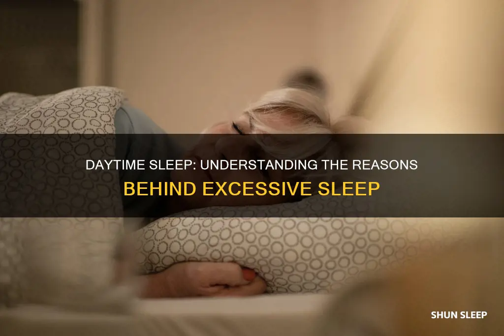 what does it mean if a person sleeps all day