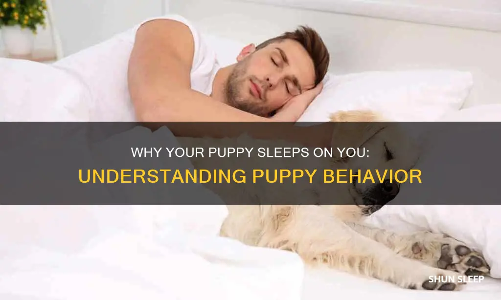 what does it mean if a puppy sleeps on you
