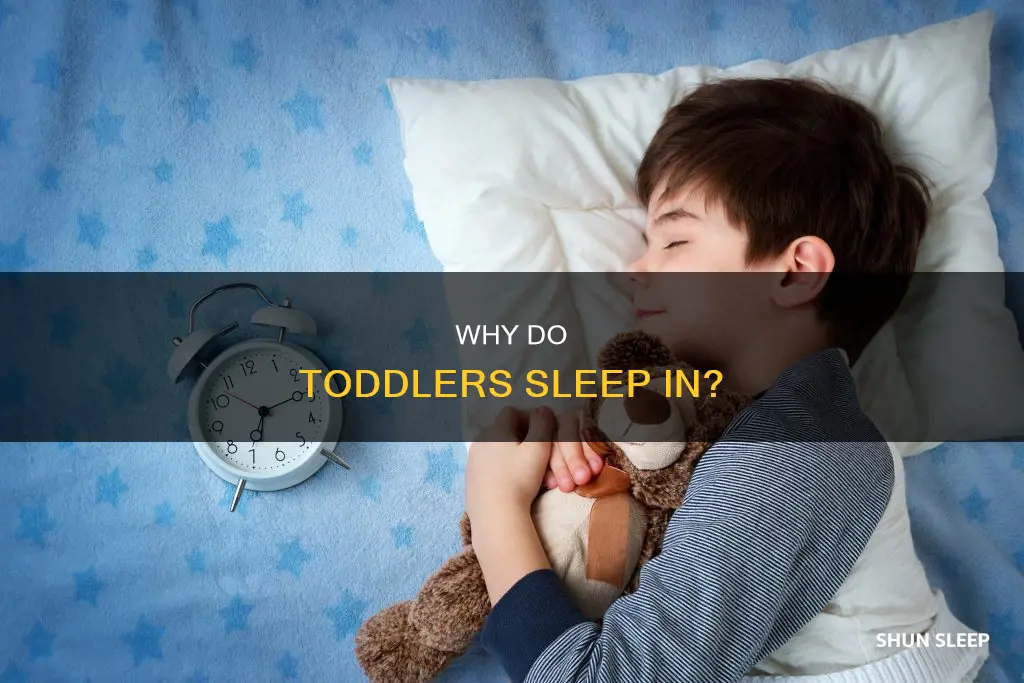 what does it mean if a toddler sleeps in late