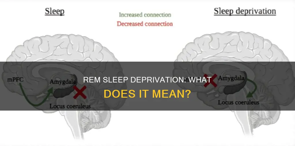 what does it mean if i have no rem sleep