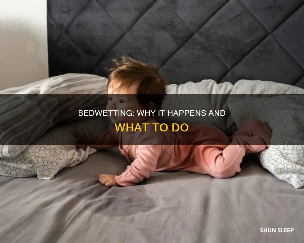 what does it mean if i pee in my sleep