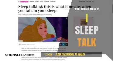 The Mystery of Sleep Talking: Why and What it Means