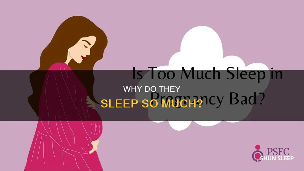 what does it mean if someone is always sleeping