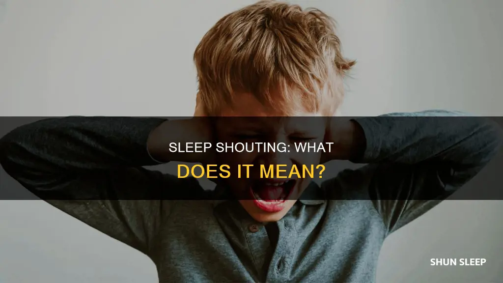 what does it mean if someone yells in their sleep