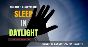 Daylight Sleep Elusion: What's Keeping You Awake?