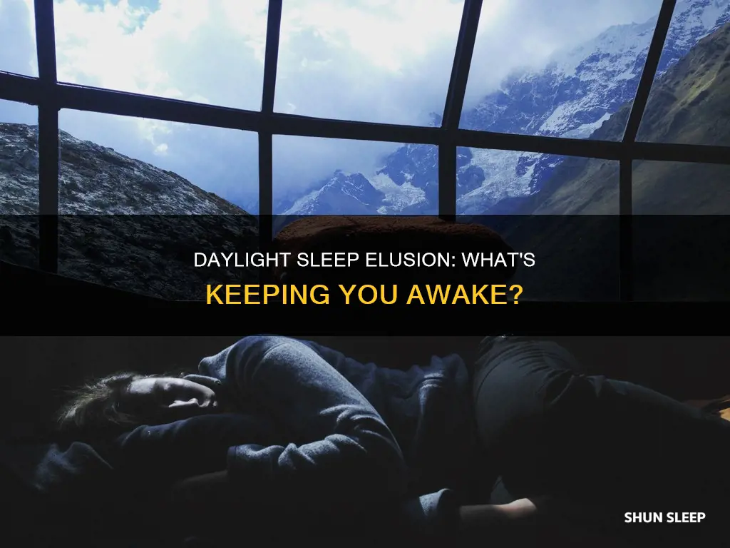 what does it mean if you cant sleep in daylight