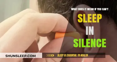 Silence and Sleep: Why Some Need Noise to Nod Off