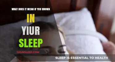 The Mystery of Sleep: Drowning in Dreams