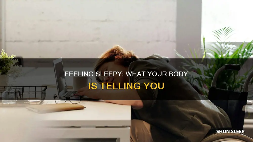 what does it mean if you only want to sleep