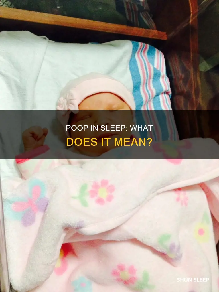 what does it mean if you poop in your sleep