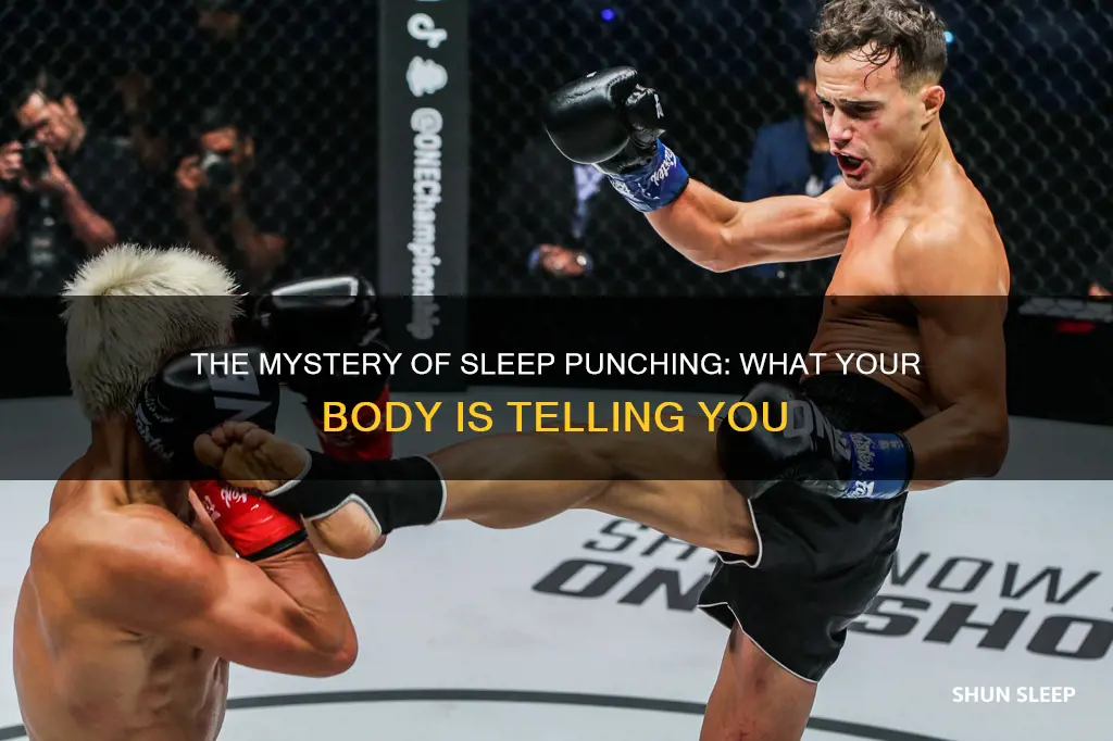 what does it mean if you punch in your sleep