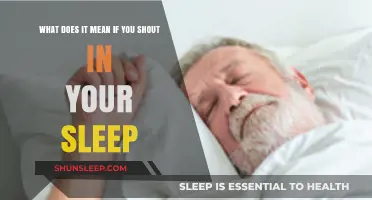 Shouting in Sleep: What Your Brain is Trying to Tell You
