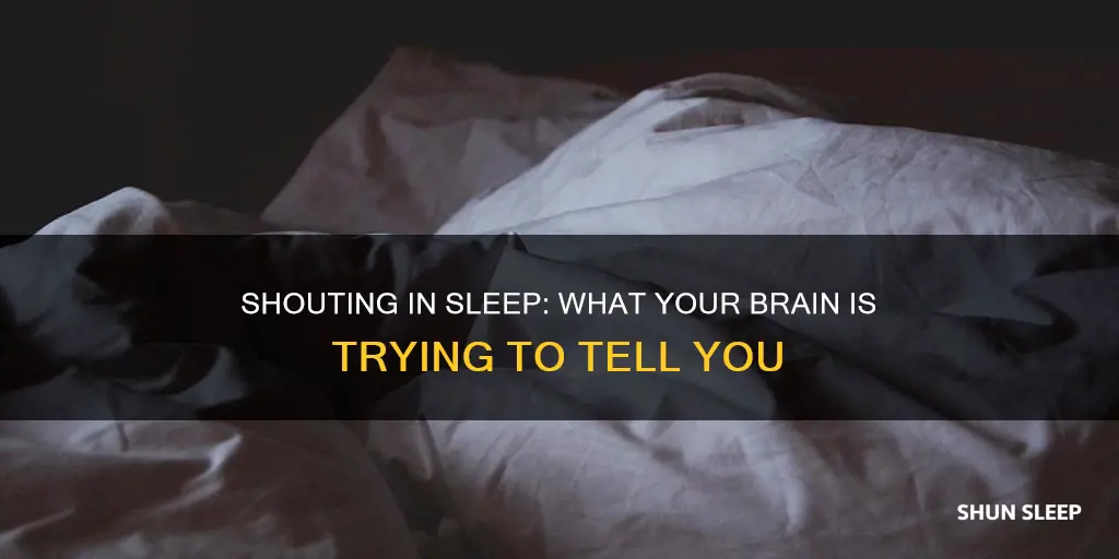 what does it mean if you shout in your sleep