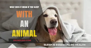 Dreaming of Sleeping with Animals: What Does It Mean?