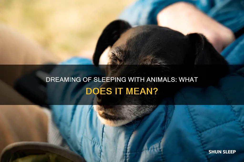 what does it mean if you sleep with an animal