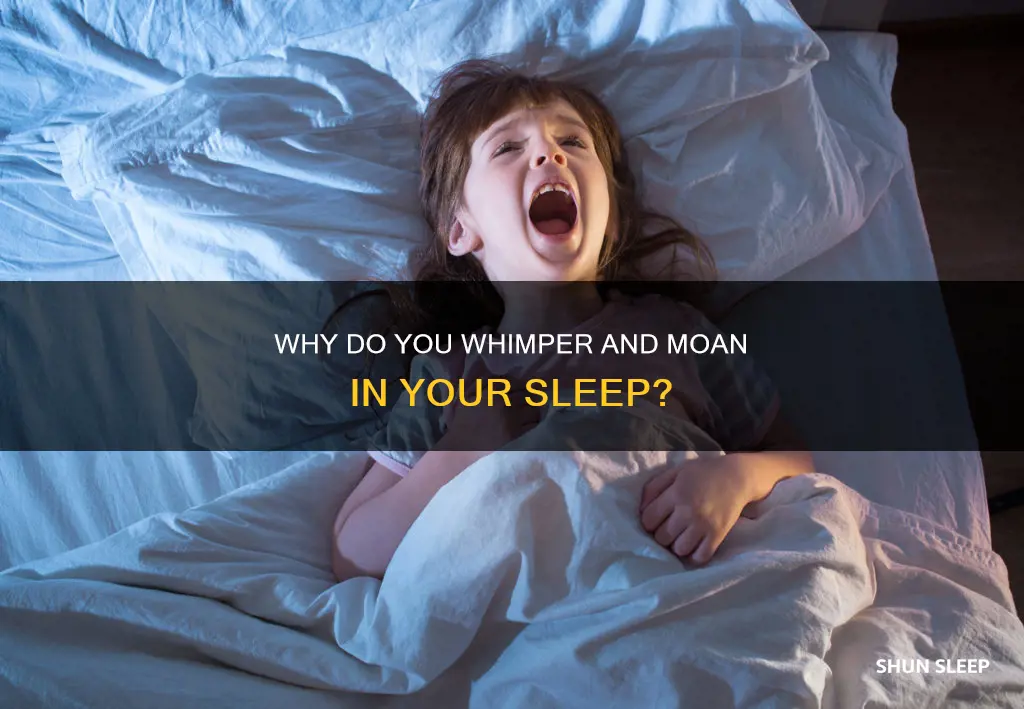 what does it mean if you whimper in your sleep