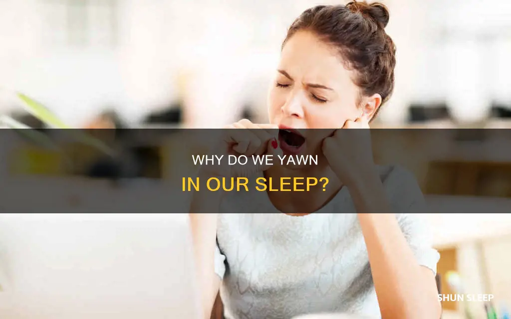 what does it mean if you yawn in your sleep