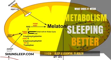 Metabolism and Sleep: A Healthy Relationship