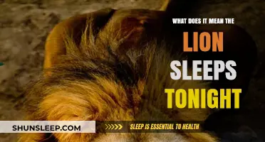 The Lion Sleeps Tonight: A Cultural Legacy