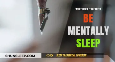 The Sleepy Mind: Understanding Mental Sleepiness