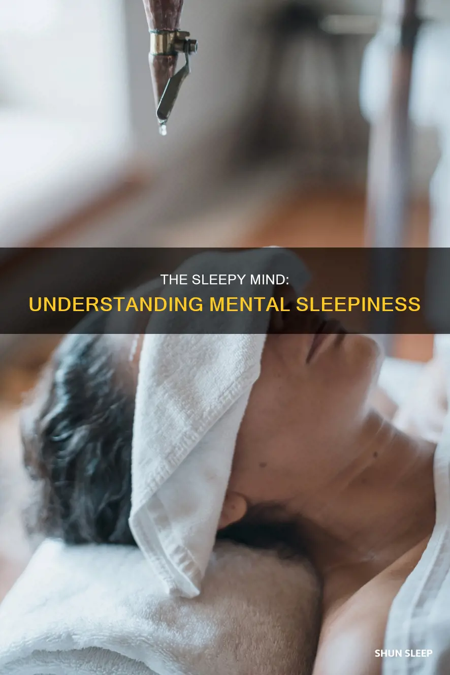 what does it mean to be mentally sleep
