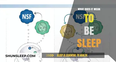 Exploring Sleep: Unconsciousness and Brain Activity