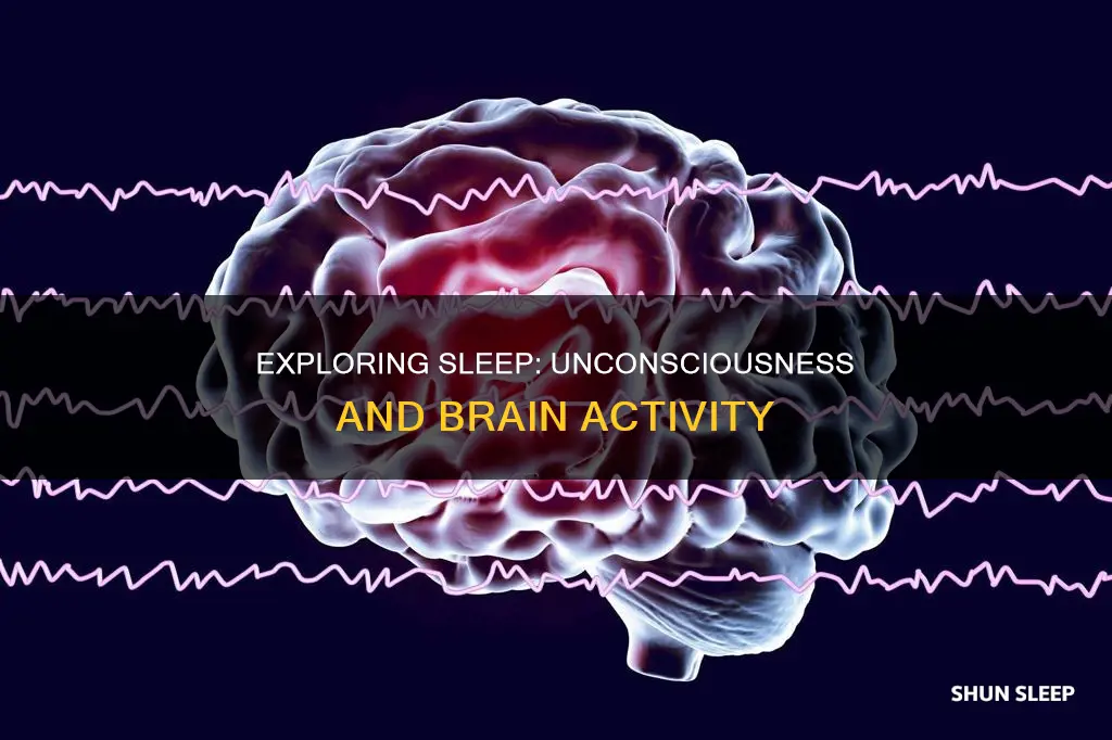 what does it mean to be sleep