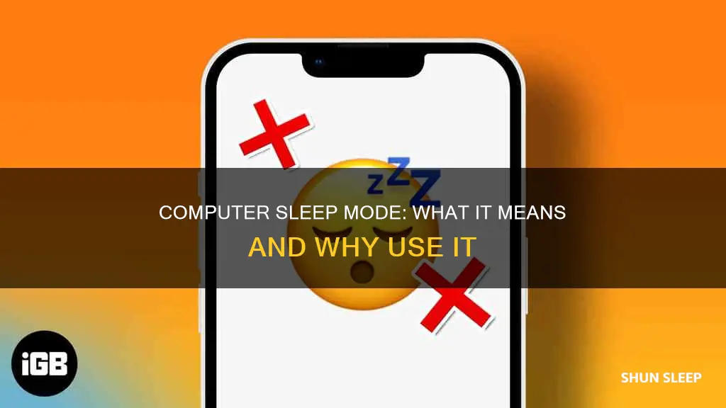 what does it mean to choose sleep on computer