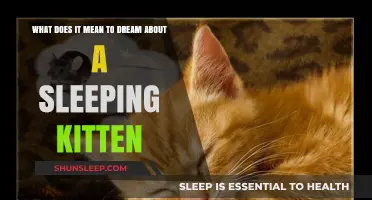 Why Dreaming of a Sleeping Kitten is Symbolic