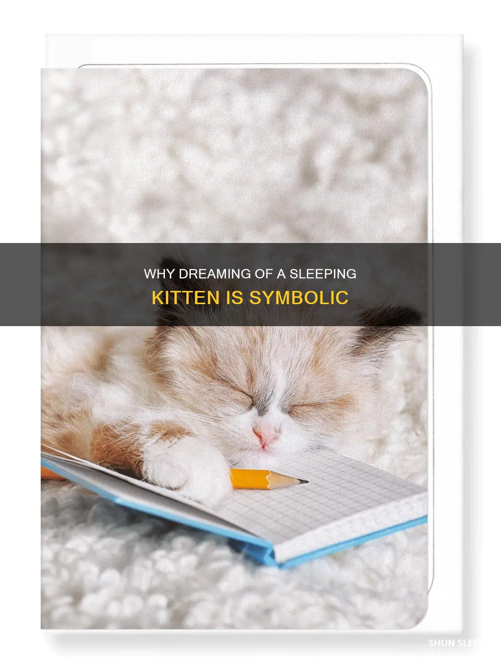 what does it mean to dream about a sleeping kitten