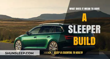 The Stealthy Sleeper Build: Unassuming Powerhouses