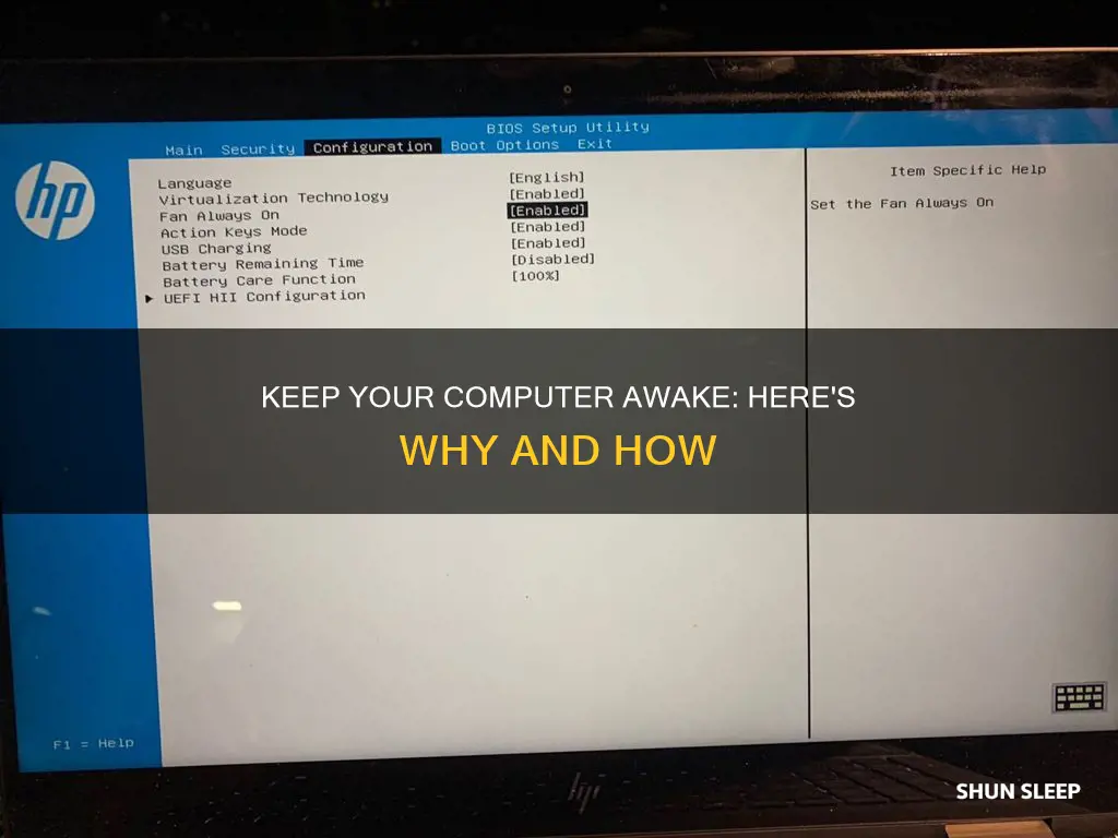 what does it mean to have your computor never sleep