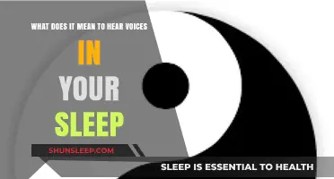 Voices in Sleep: Understanding the Brain's Night Talk