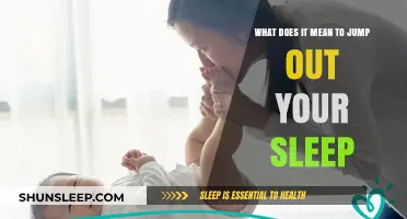 The Mystery of Sleep and Sudden Awakenings
