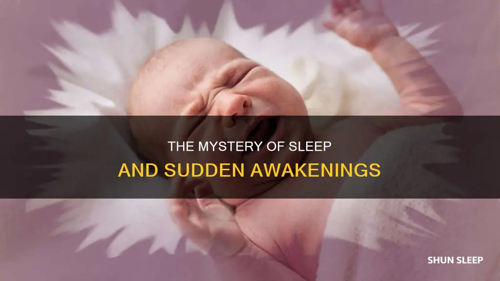 what does it mean to jump out your sleep