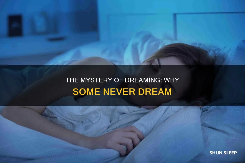 what does it mean to never dream in your sleep