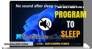 Understanding Sleep Mode: What It Means for Your Programs